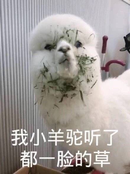 可爱