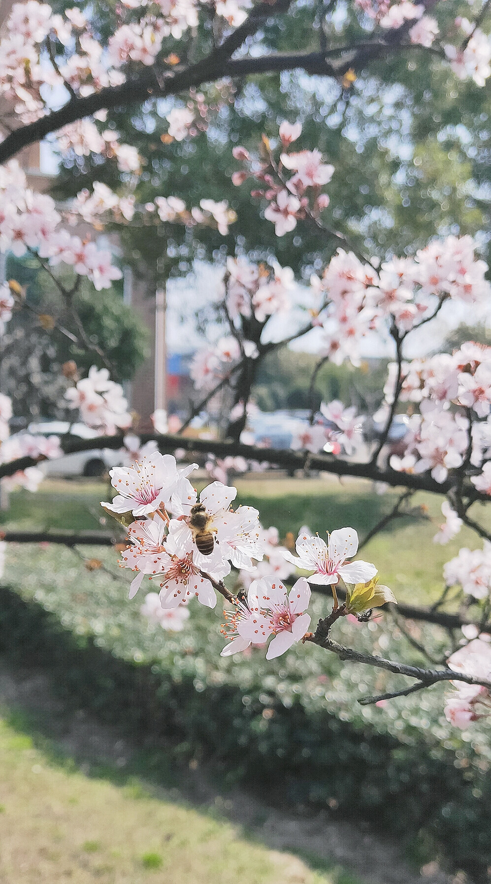 初晴时