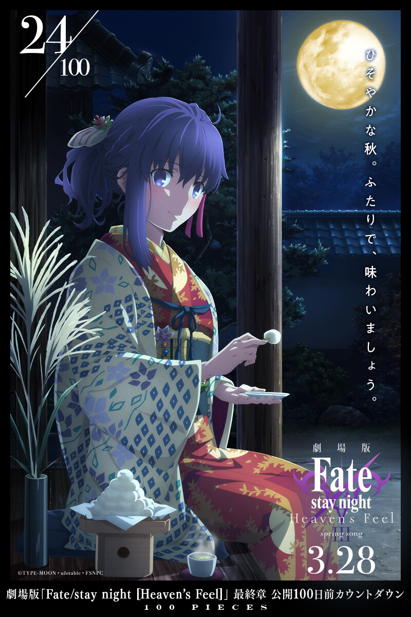 Fate/stay night