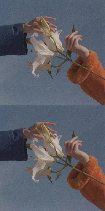 动漫风景图片，适合手机壁纸