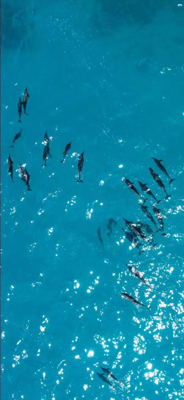 动漫风景图片，适合手机壁纸