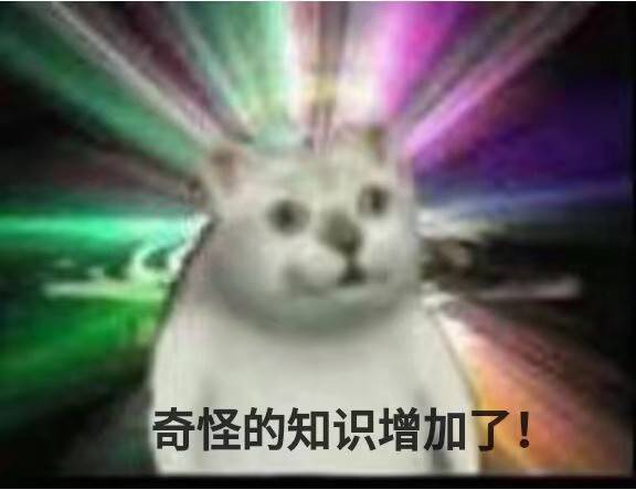 沙雕的猫猫头可可爱爱呢