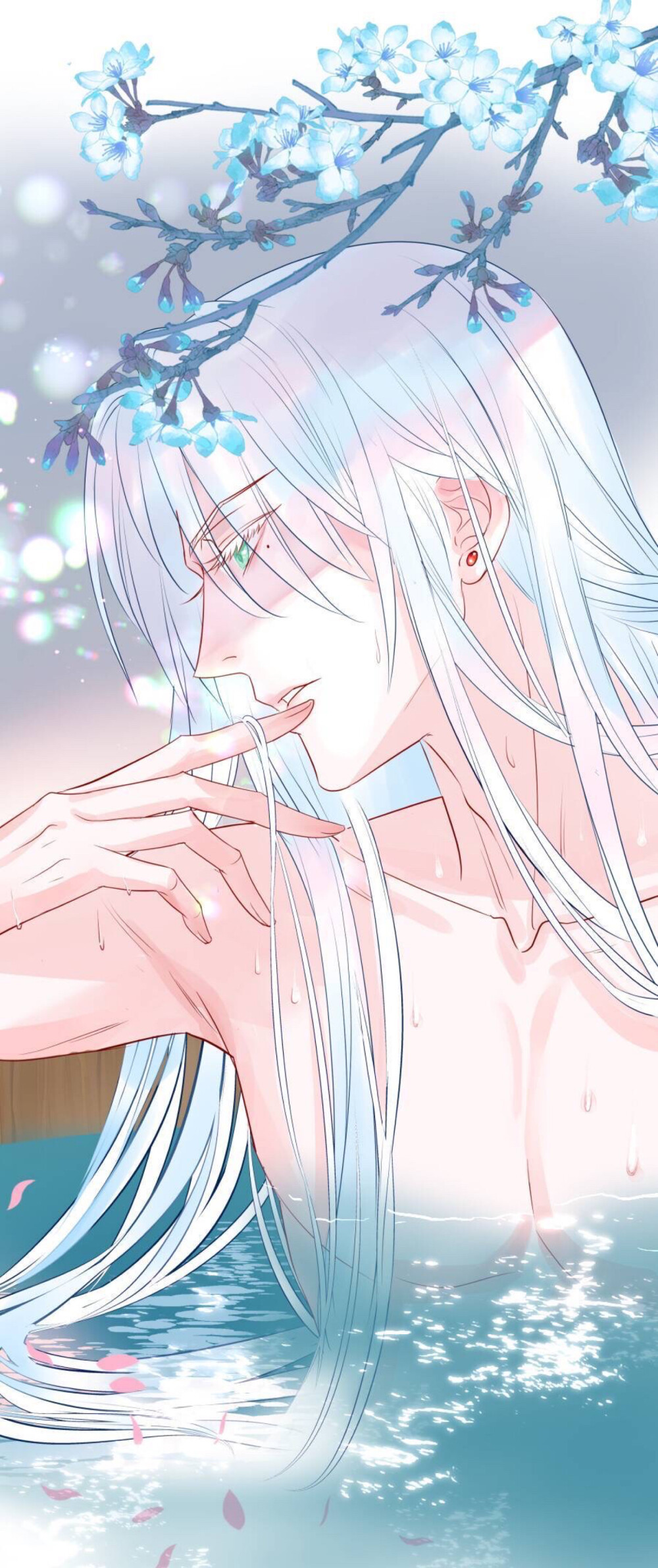 苍焱x夜璃朱离aaaawky