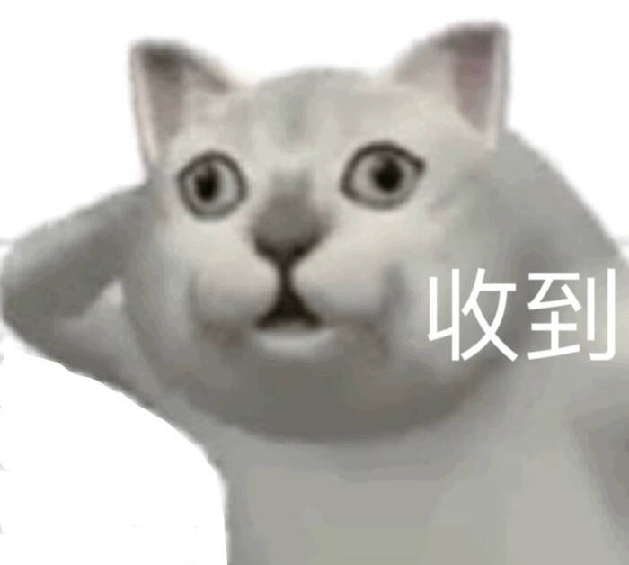 沙雕的猫猫头可可爱爱呢