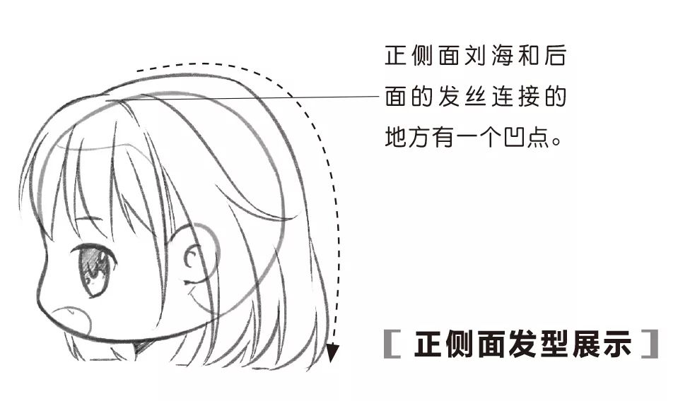 Q版 头发教程 画法