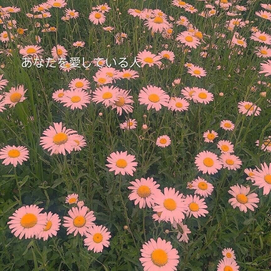 ᴾᵉᵒᵖˡᵉ ᵍʳᵒʷ ʷᵉᵉᵈˢ ʷⁱᵗʰᵒᵘᵗ ᶠˡᵒʷᵉʳˢ.
人的内心不种鲜花就长杂草。