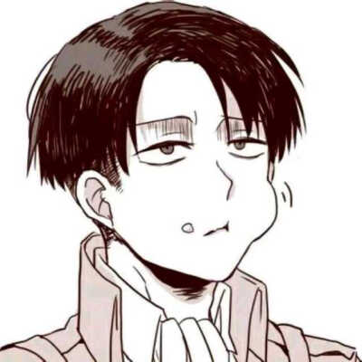 进击的巨人 三笠 利威尔 兵长 艾伦 自由之翼 团长 为巨人献出心脏❤