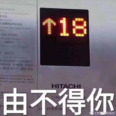 十八楼表情包