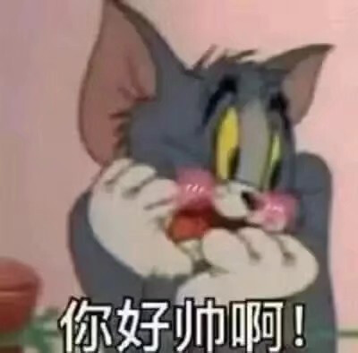 猫与老鼠表情包