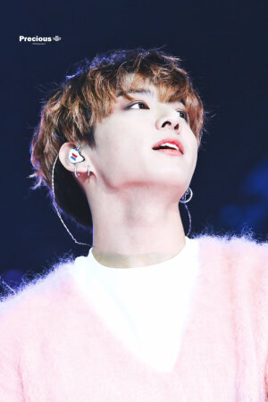 BTS 田柾国 Jungkook