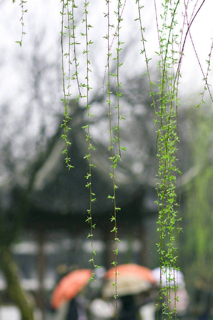 草浅马翩翩，新晴薄暮天。柳条春拂面，衫袖醉垂鞭。