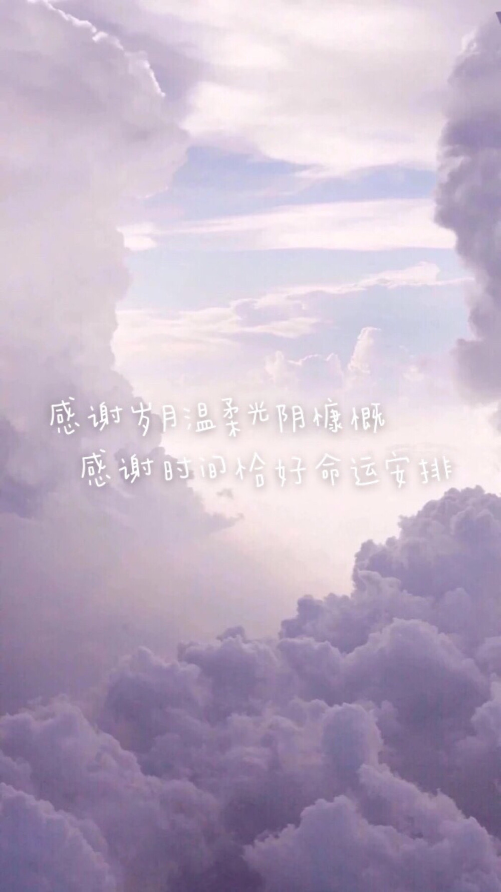 bjyx阿辞出品 #禁改 禁二传 #原创文字壁纸 #图源网络