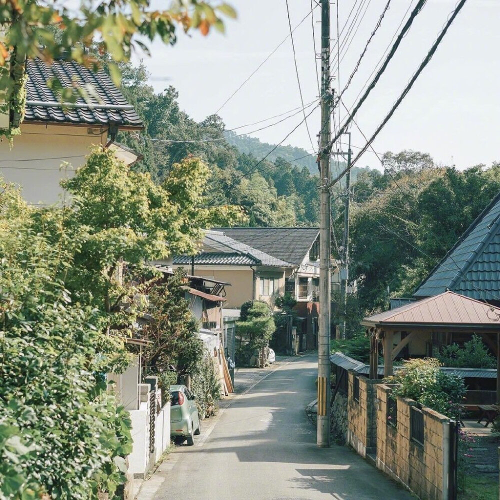 背景/杂图