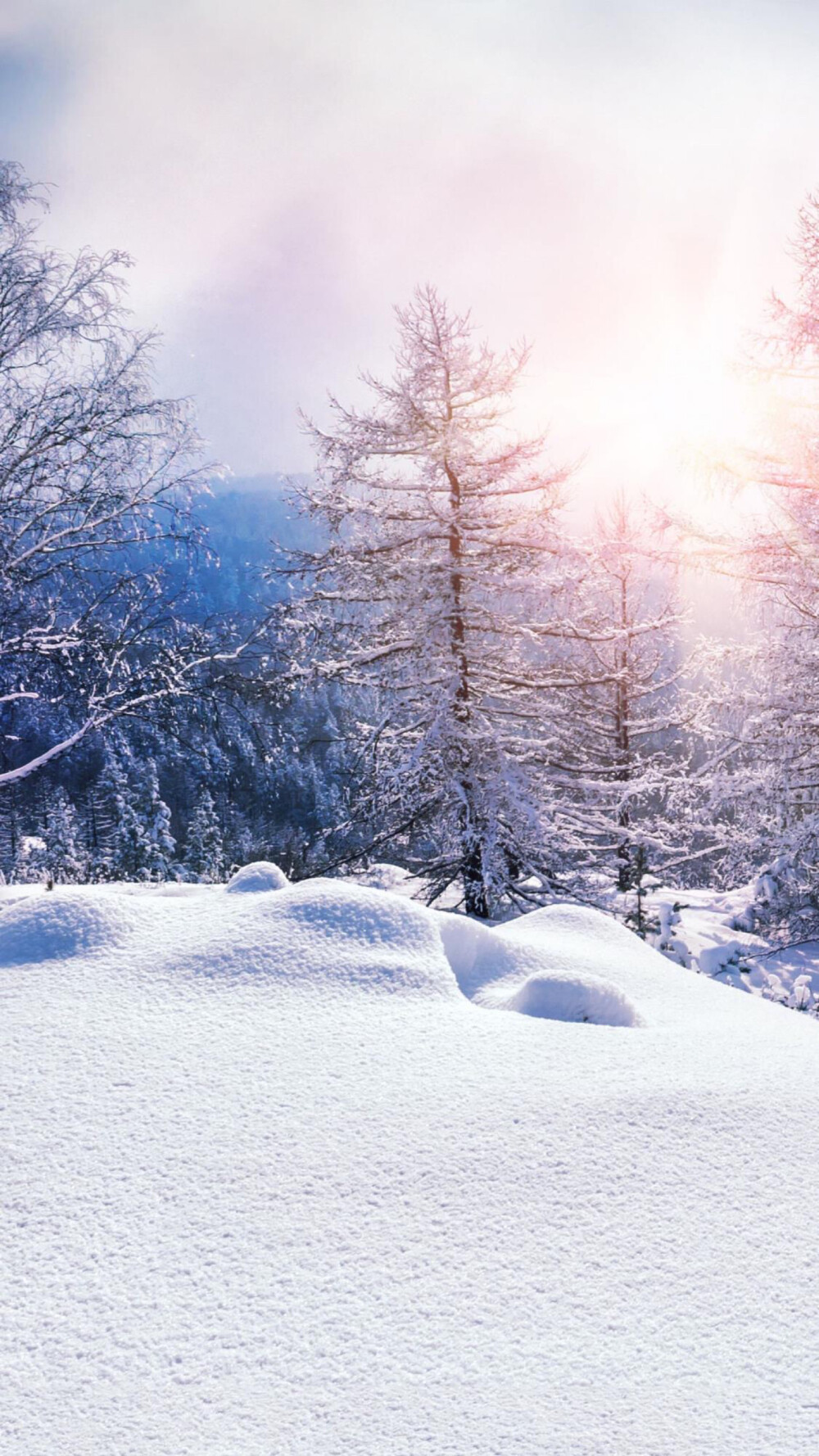 雪景壁纸