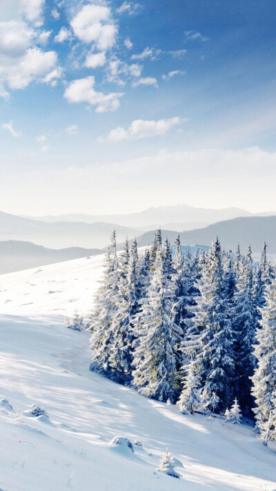 雪景壁纸