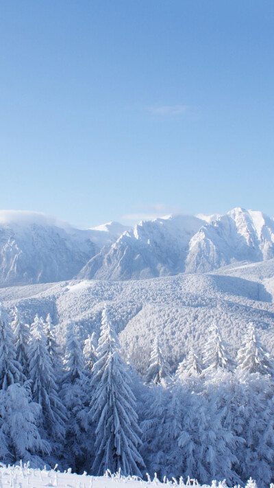 雪景壁纸