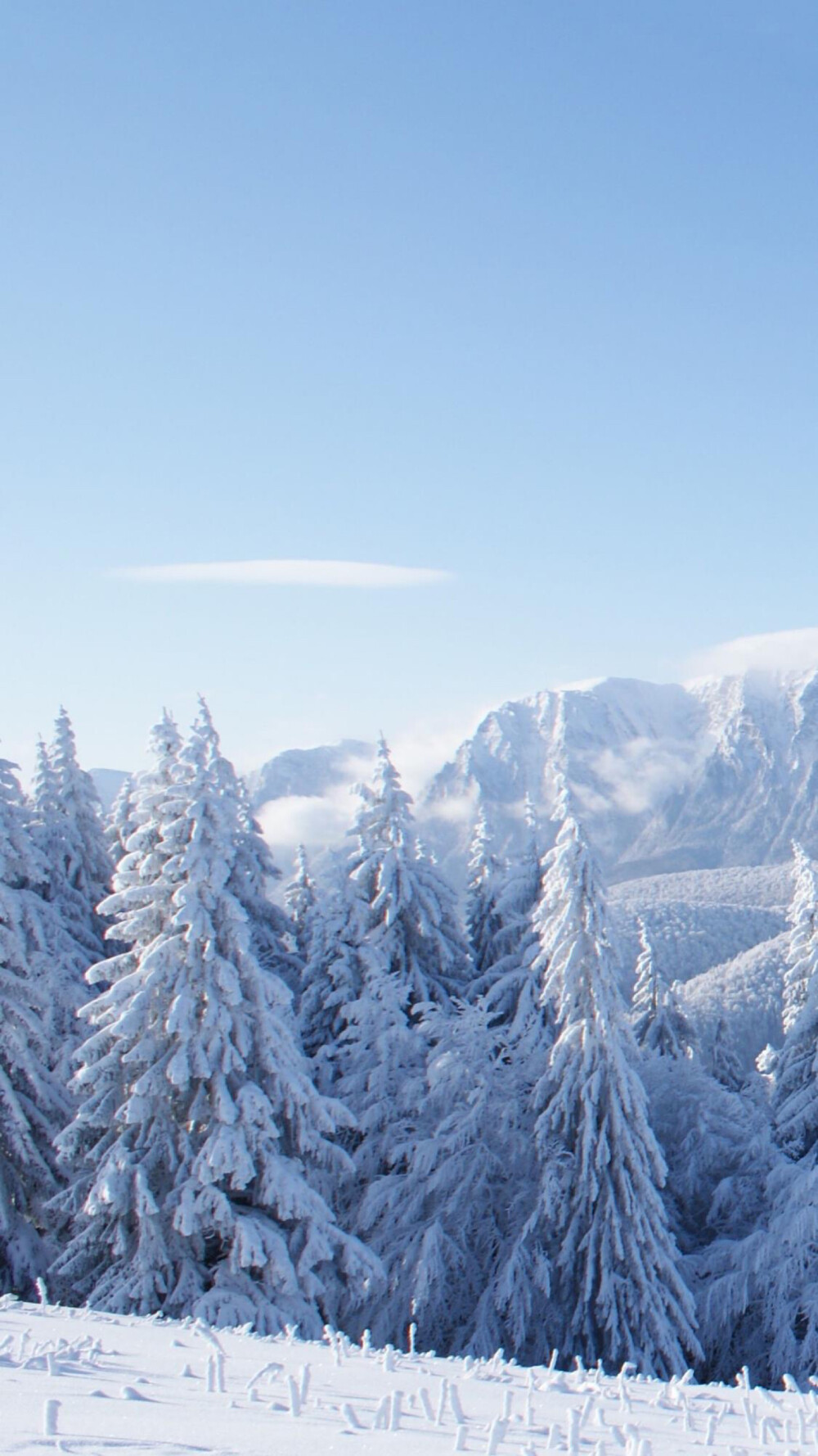 雪景壁纸