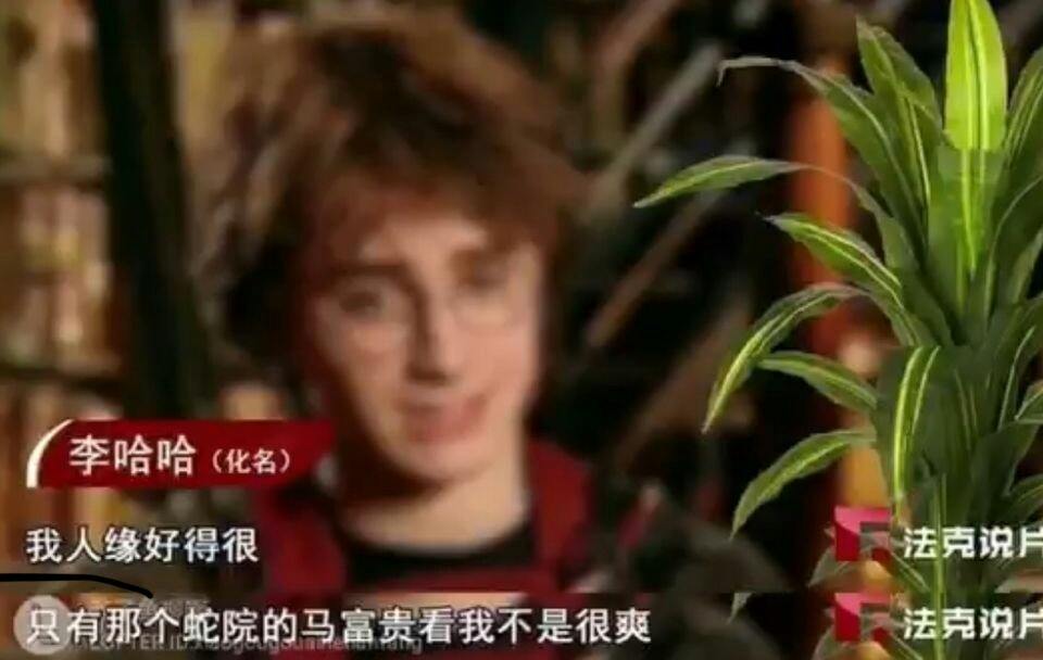 哈利波特表情包