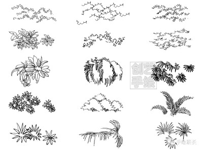 植物速写