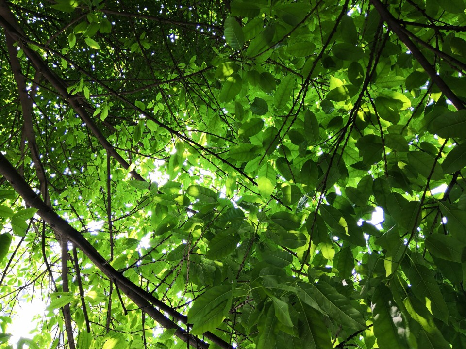 “这天下，风情千万般，值得觊觎一眼”