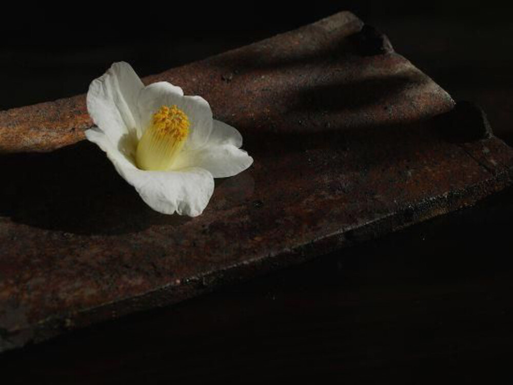 “初一日，城內外家家供養，都插菖蒲，石榴，蜀葵花，梔子花之類，一早賣一萬貫花錢不啻。何以見得？錢塘有百萬人家，一家買一百錢花，便可見也”。雖小家無花瓶者，用小壇也插一瓶花供養，蓋鄉土風俗如此。”
《西湖老人繁勝錄》 ​​​