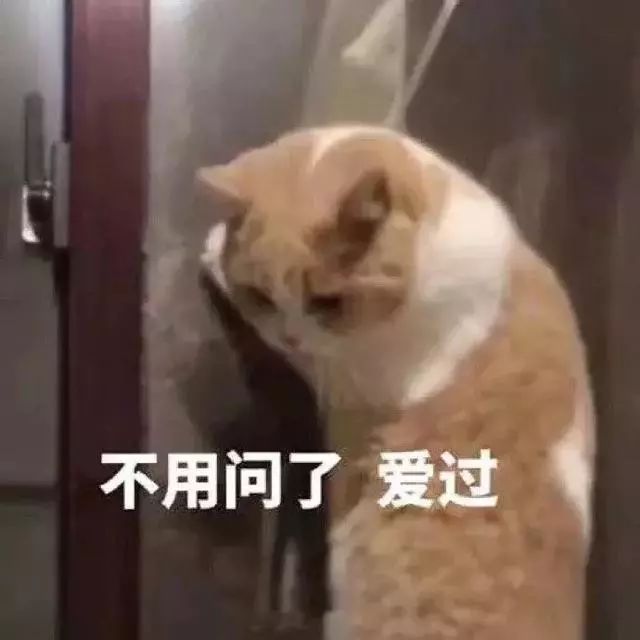 嗯嗯嗯？可爱猫猫系列？
拿图点赞评论~