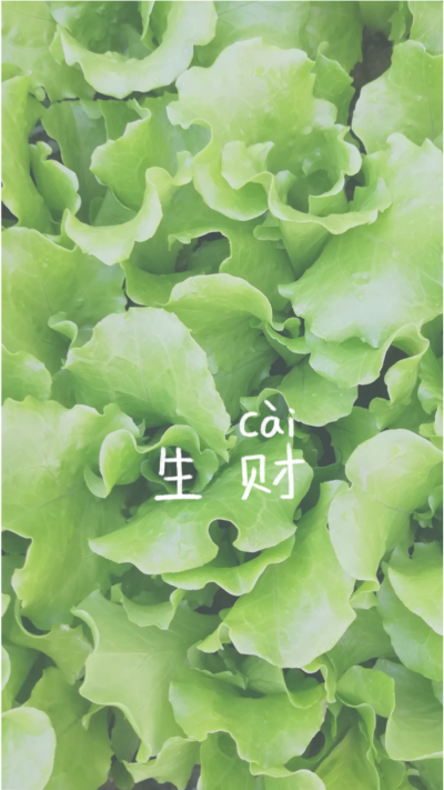 蔬菜壁纸