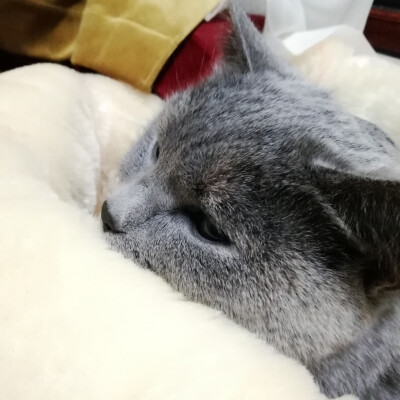 七七八八的的照片