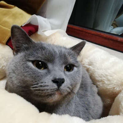 七七八八的的照片