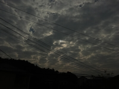 七七八八的照片