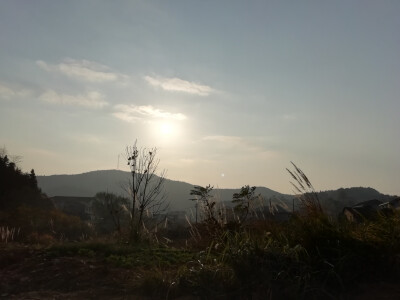 七七八八的照片