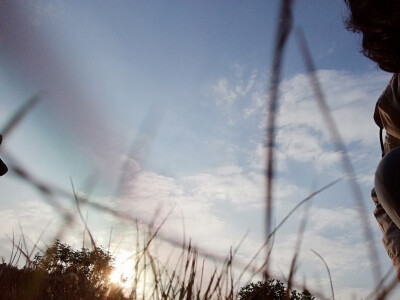 七七八八的照片