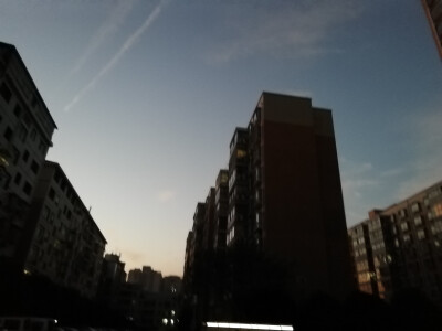 七七八八的照片