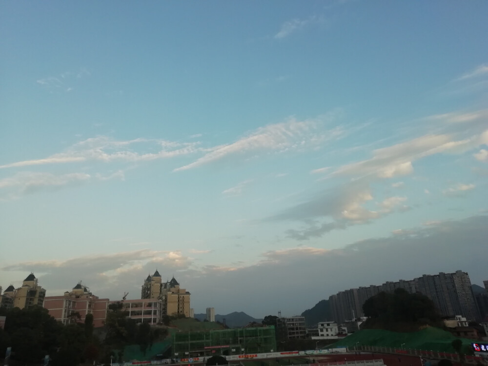 七七八八的照片