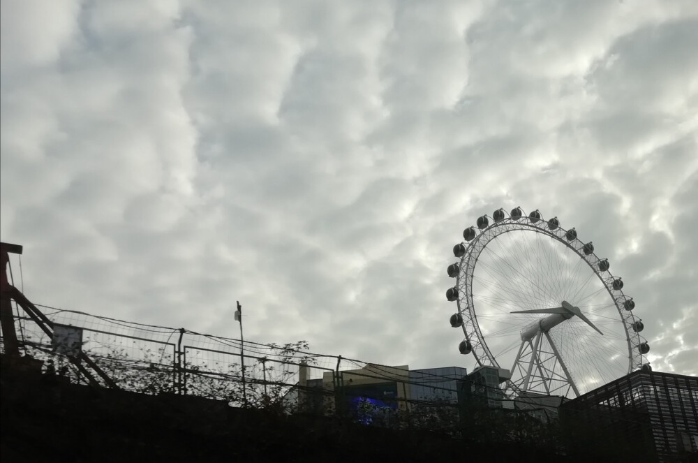 七七八八的照片