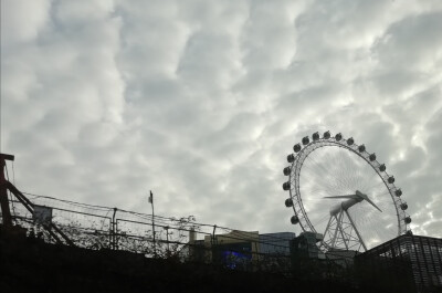 七七八八的照片