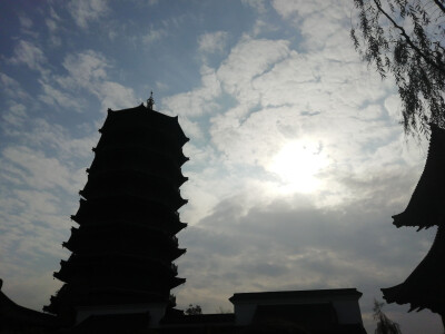 七七八八的照片