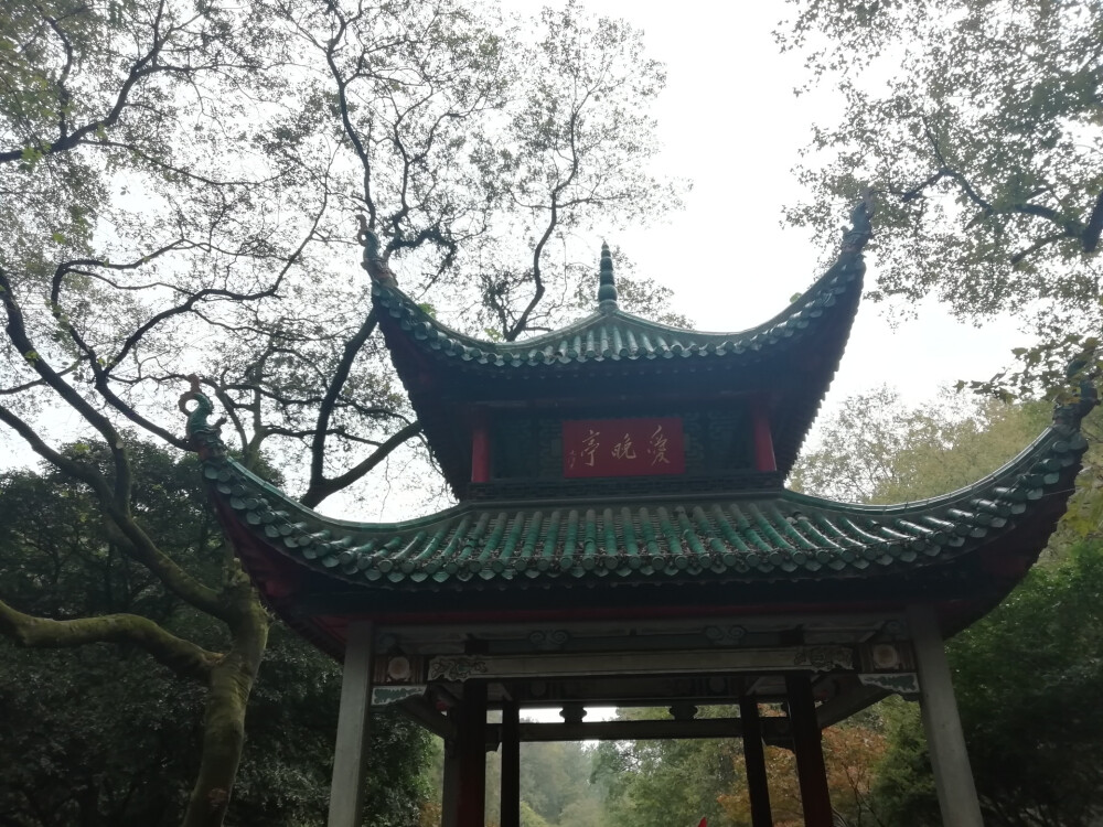 七七八八的照片