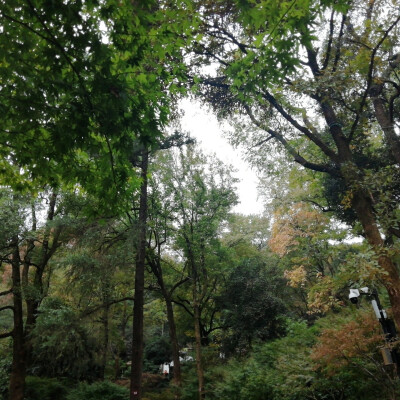 七七八八的照片