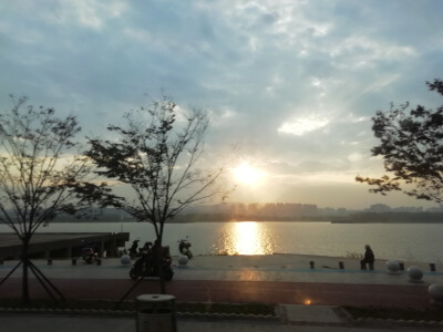 七七八八的照片