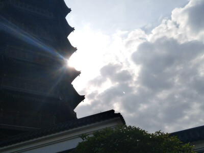 七七八八的照片