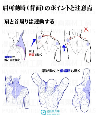 人体教程