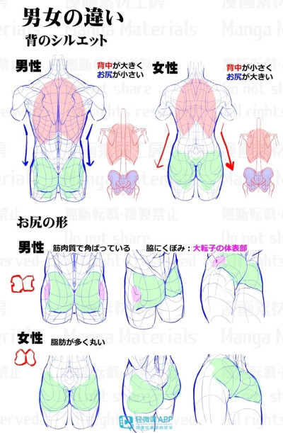 人体教程