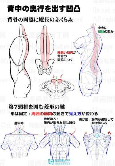 人体教程