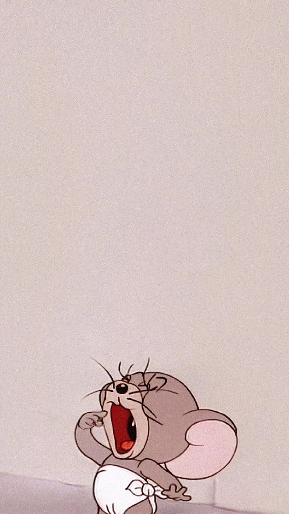 壁纸猫和老鼠泰菲