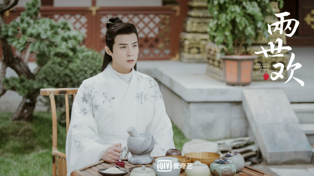 两世欢景辞于朦胧