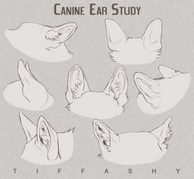 图源DA 兽体教程