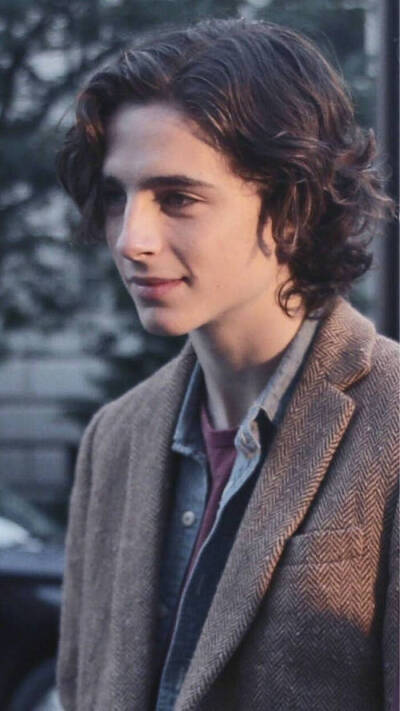 提莫西·查拉梅Timothée Chalamet（甜茶）
