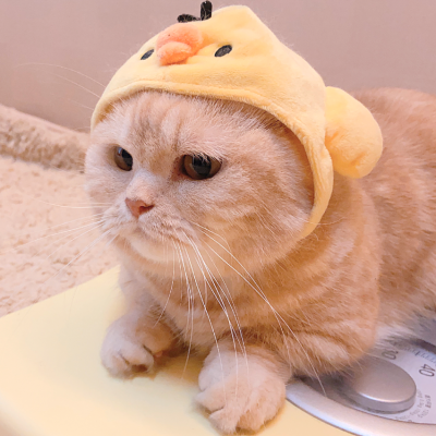 二传注明麓一涵