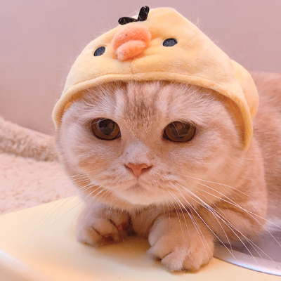 二传注明麓一涵